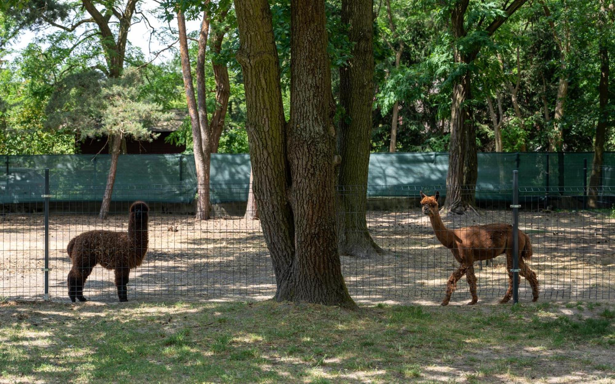 ワルシャワ セントラム スコレンニオ コンフェレンシーネアパートホテル エクステリア 写真
